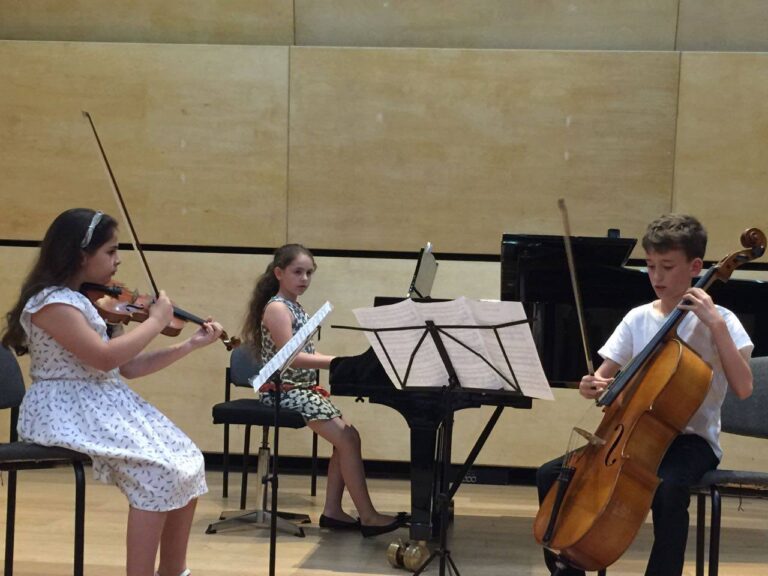 young chamber Trio